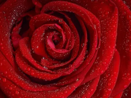 Self-Care For The Root Chakra