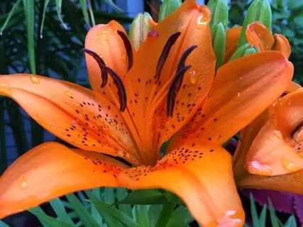 Reiki: Self Care For The Sacral Chakra