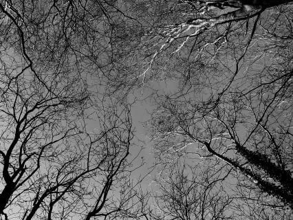 Self-Care For Vigilant Nervous Systems