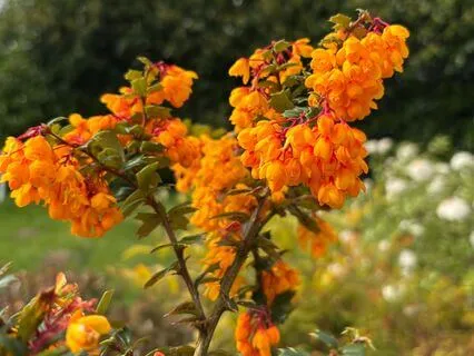 Self Care In Uncertain Times