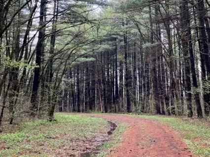 Self Care Journey Meditation