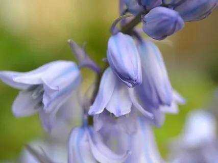 Self-Care For The Throat Chakra