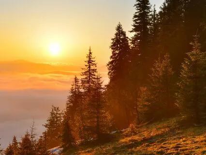 Self-Care Meditation: Lean In To What You Need