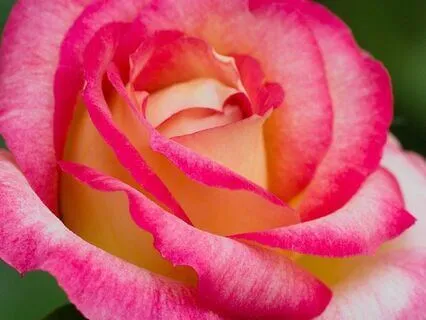 Self Care Meditation