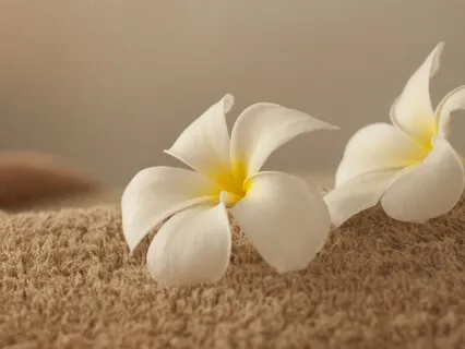 Self-Care Moments - Mindful Moments Every Hour