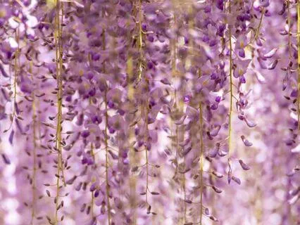 Self-Care : Time-Friendly Affirmations