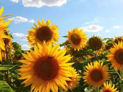 Self Care - What Is It? Day 1