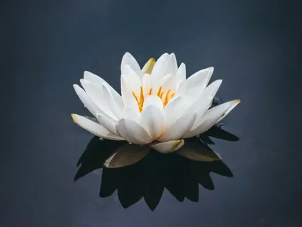 Self Care When You Feel Like Crap