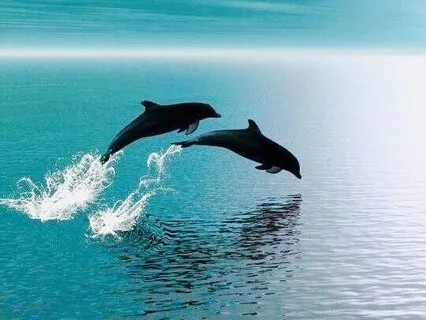 Self-Check: Energy Meditation