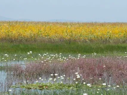 Self-Compassion 10 Minutes