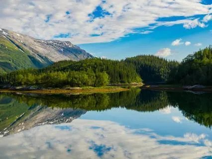 Self Compassion - A Soft Start