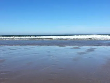 Self-Compassion And A Soft Landing With Cancer Energy