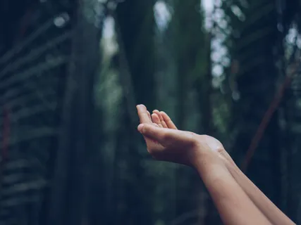 Self Compassion & Creation Prayer