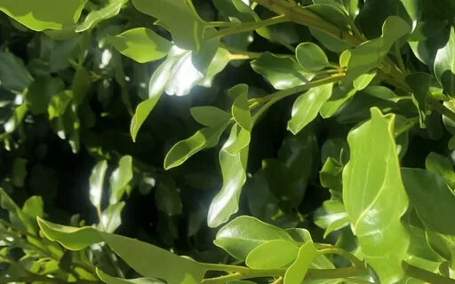 Self-Compassion And Self-Care In Daily Life