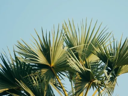 Self-Compassion Break