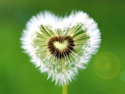 Self-Compassion Break Meditation