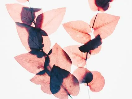 Self-Compassion Break With Music