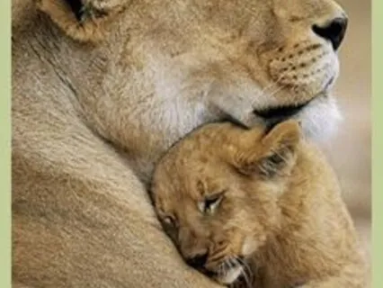 Self-Compassion Break