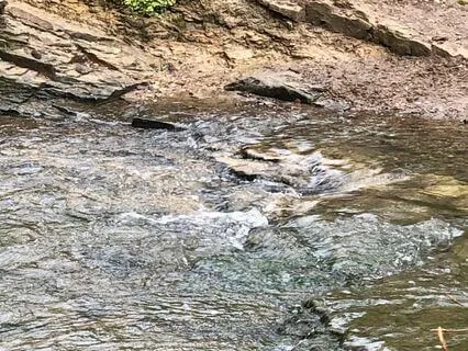 Self-Compassion Break