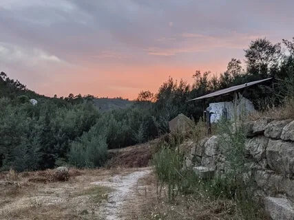 Self-Compassion Check-In