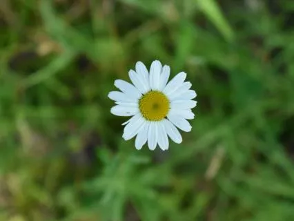 Self-Compassion: Coming Home To Yourself