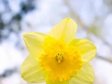 Self-Compassion: Common Humanity