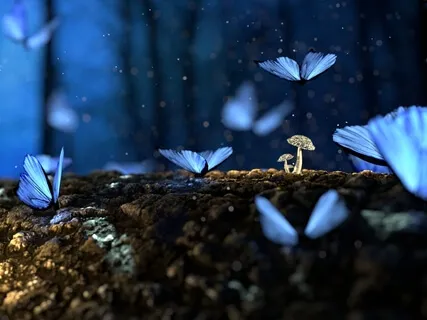 Self Compassion Discovery