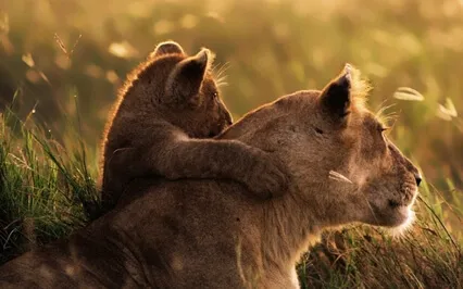 Self-Compassion | Embodying The Tender & The Fierce