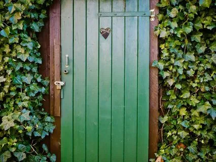 Self-Compassion: Embracing Your Beautiful, Messy Humanity