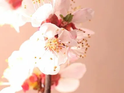 Self-Compassion For ADHD