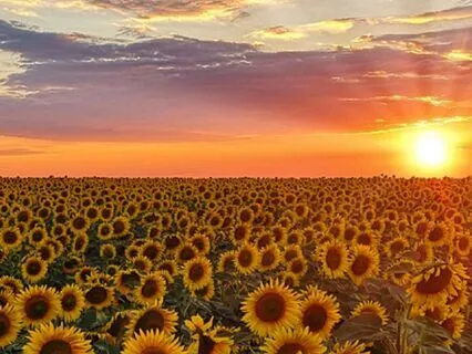 Self-Compassion For Chronic Pain And Symptoms