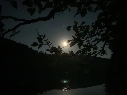 Self-Compassion For Falling Asleep