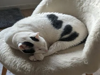 Self-Compassion For Fatigue