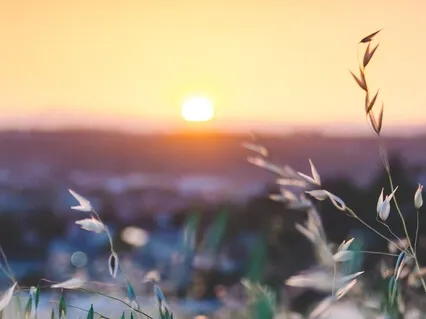 Self Compassion For Increased Motivation 