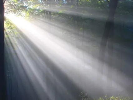 Self-Compassion For Women In Leadership