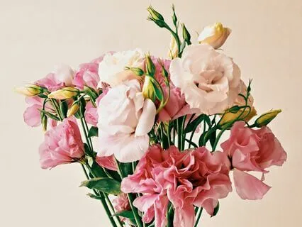 Self-Compassion From A Memory