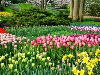 Self Compassion Heart Centered: Planting Seeds Of Self Care