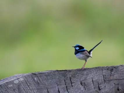 Self-Compassion In Infertility And/Or Pregnancy Loss