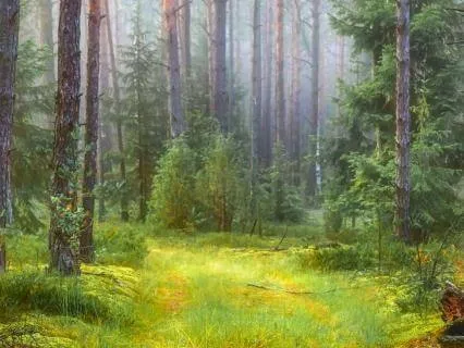 Self Compassion - Kindness In The Body