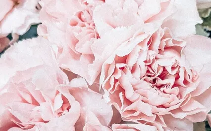 Self-Compassion Meditation