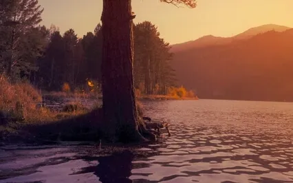 Self Compassion Meditation