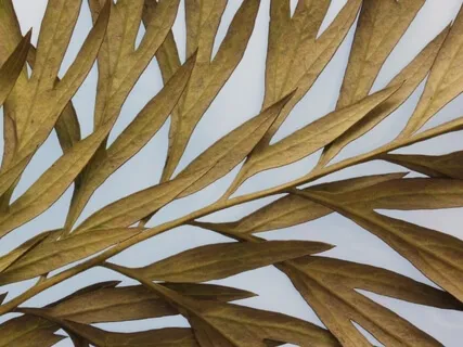 Authenticity Through Self-Compassion