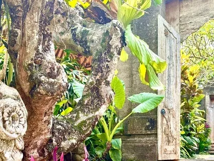 Self-Compassion Meditation  (For Kindness & Acceptance)