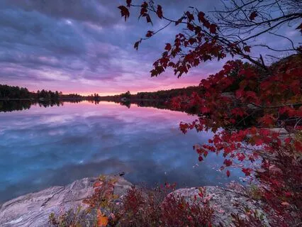 Self Compassion Meditation