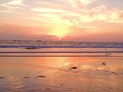 Self-Compassion Meditation