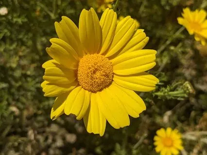 Self-Compassion | Mindful Motivation