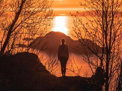 Self-Compassion Pause