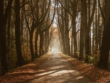 Self Compassion Practice