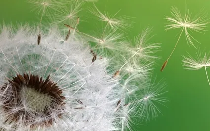 Self-Compassion Practice