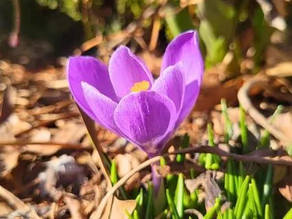 Self-Compassion Practice | A Meditation For Self-Care